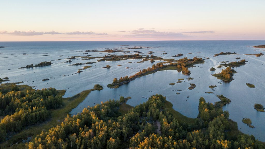 Strategy Without a Map: Opportunity-Driven Development in Complex Environments