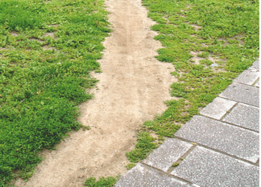 Desire Path